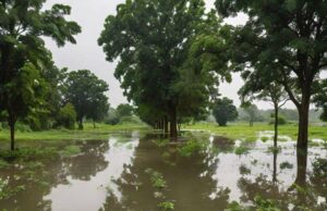 The Impact of the 2024 Flooding on Crops in Nigeria